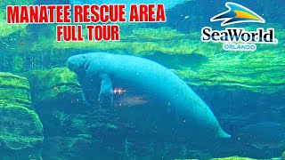 Inside the Manatee Rescue and Rehabilitation at SeaWorld Orlando (Nov 2025) [4K]