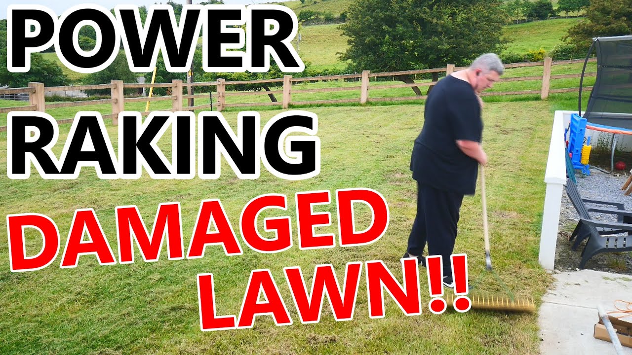 Reviving My Lawn After Weedkiller Damage | Power Raking Transformation ...