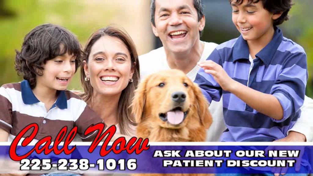 Best Vet for Dogs in Baton Rouge Louisiana YouTube