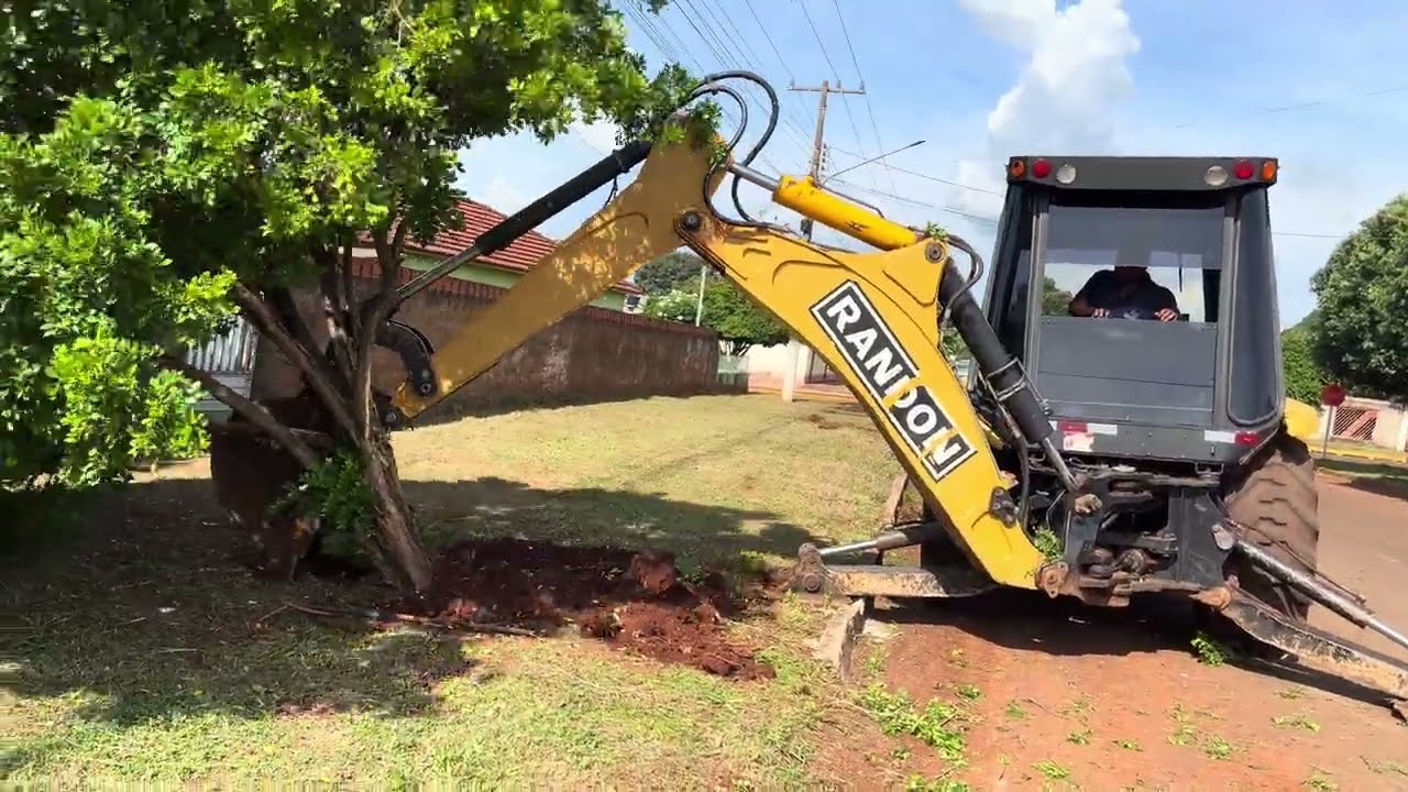 Retroescavadeira arrancando Árvores da cidade