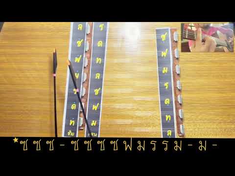 เอาปากกามาวง Cover ขิม ครูโน้ต
