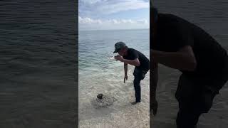 sea waves Cinematic #mobilevideoediting