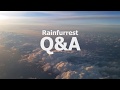 Rainfurrest Q&A