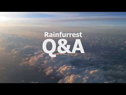 rainfurrest-q&a