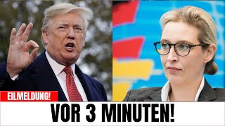 AfD Washington: Schock-Forderung! Todesstrafe für Russland-Freunde?