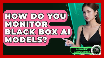 How Do You Monitor Black Box AI Models? - AI and Machine Learning Explained