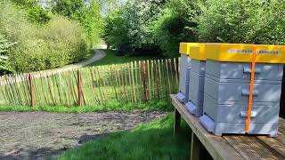 Download Lagu De eerste controle op Parc Sandur na de verhuizing MP3