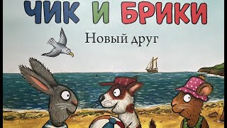 Чик и Брики. Новый друг