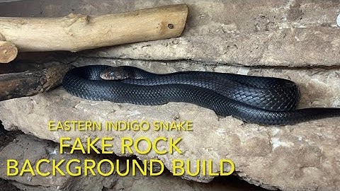 REPTILES: Fake rock background- easy diy build