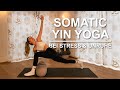 Somatic Yin Yoga l Stress & Unruhe l 20 Minuten ✨