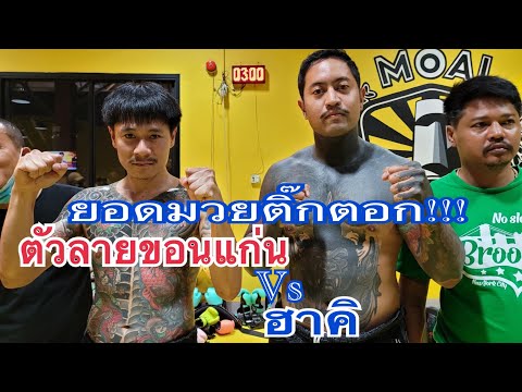 มวยติ๊กตอก ตัวลายขอนแก่นvsฮาคิ ผลจะเป็นยังไงไปชมครับ