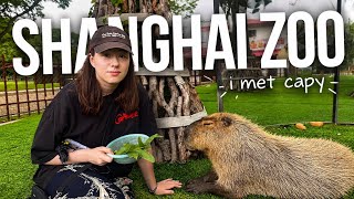 I FINALLY MET CAPYBARA! A dream come true