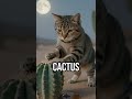 Discover the Cactus Cat legend! #CactusCat #DesertMysteries #FunFacts