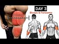 Biceps &amp; Forearms Blast: Advanced Gym Workout for Gains