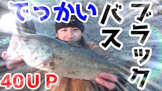 バス釣り　レベルバイブ早巻きで40UPｷﾀ━(ﾟ∀ﾟ)━!