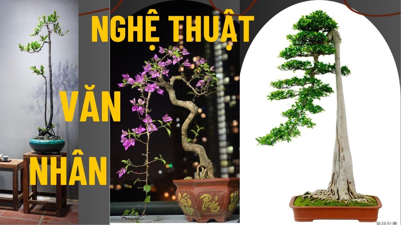 Nghệ Thuật Bonsai Văn Nhân | Vẻ Đẹp Thanh Cao & Độc Hành#bonsaivanhan#bonsaitruyenthong #bonsaithien