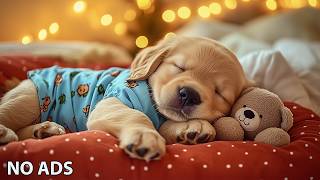 12 Hours Calming Dog Music 🎵 Relaxing Music for Dogs - Separation Anxiety Relief Music 💖No Ads screenshot 4