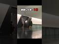 観葉植物ギリーをかくれんぼで使うとこうなる #Shorts