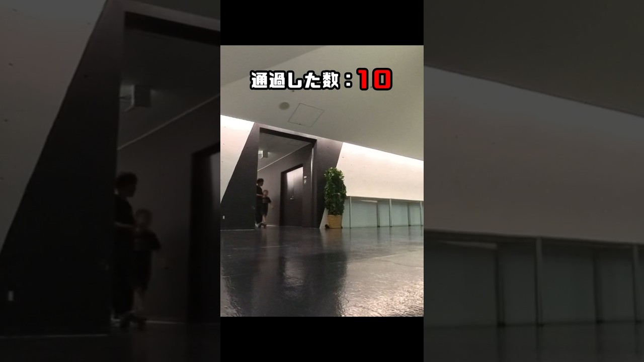 観葉植物ギリーをかくれんぼで使うとこうなる #Shorts