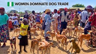 The Biggest Dog Market in West Africa 🇳🇬