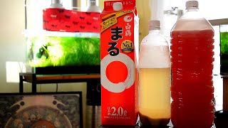 【PSB】えひめAI2の効果を高める簡単な方法【アクアリウム】