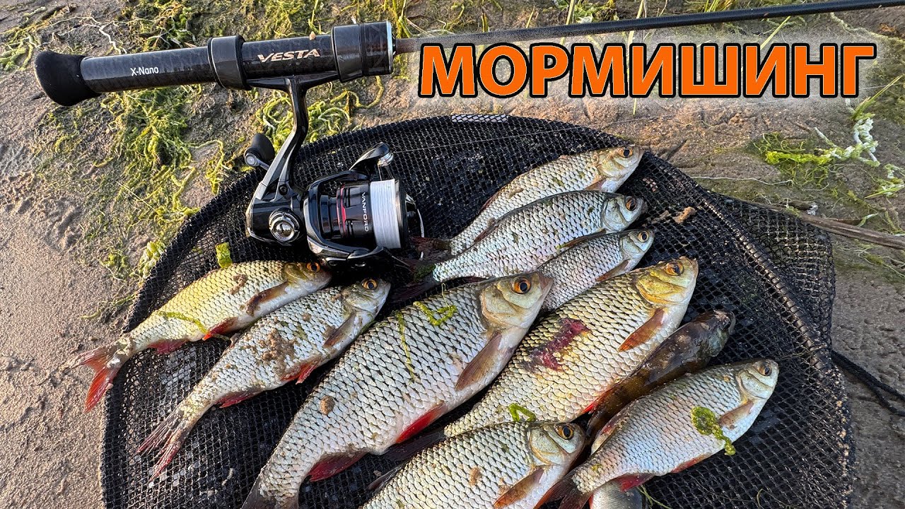 Мормишинг ПОЛЮВАННЯ ЗА КРАСНОПЕРОМ рибалка на мормо спінінг