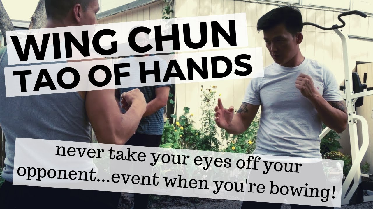 IP MAN WING CHUN SLT HANDS AND APPLICATIONS