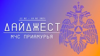 Дайджест ГУ МЧС России по Амурской области 12.02-18.02.2024