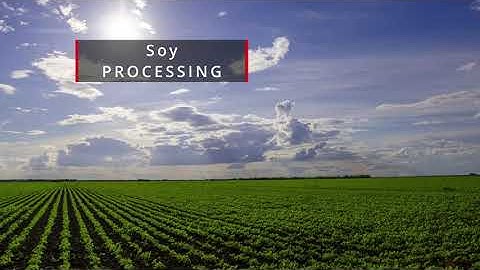 The most effective Soybean Processing