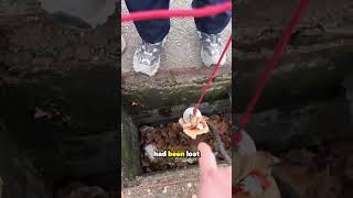 $1,000 Magnet Finds Hidden Treasures 😳 #shorts #trending #mystery #facts #usa #story #viralvideo