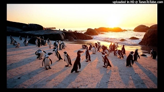 Native Tribe & DakChant - Pearls Of Africa (Fisto De Soul Afromytes Mix)