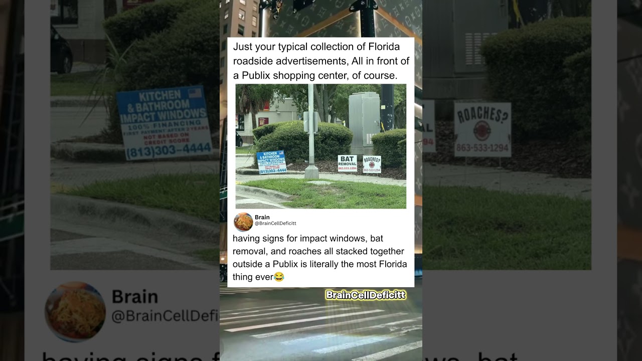 FLORIDA ROADSIDE SIGNS ARE ACTUALLY WILD...