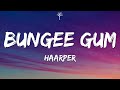 Haarper  bungee gum lyrics