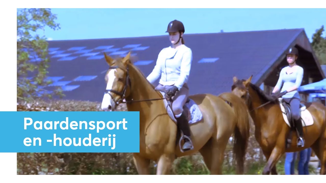 Wat is de opleiding paardenhouderij en paardensport? | Paardensport en -houderij