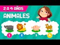 SONIDOS DE ANIMALES PARA NIÑOS DE 1 A 2 AÑOS  NUEVO - YouTube