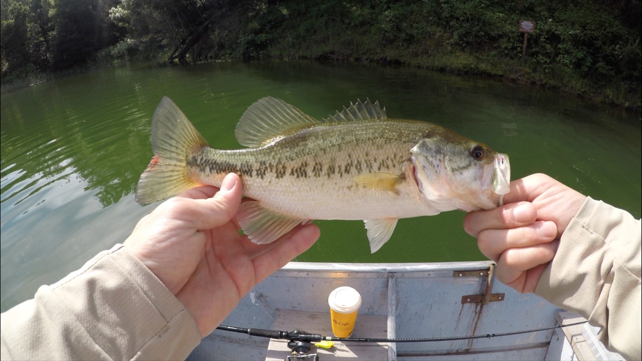 Lake Chabot 2026 – Spring Bass Fishing