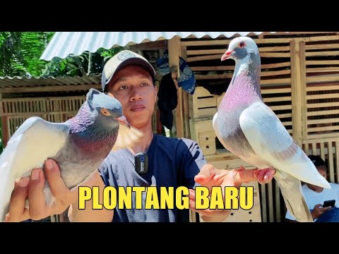 ผลสลากกินแบ่งรัฐบาล วันที่ 1 พย. 2567