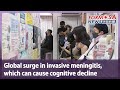Global surge in invasive meningitis, which can cause cognitive decline｜Taiwan News