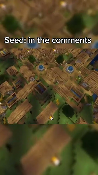 The biggest Minecraft village seed in 2024/2025  OMG😱 #minecraft #seeds #minecraftseeds