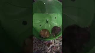 IMG 4079