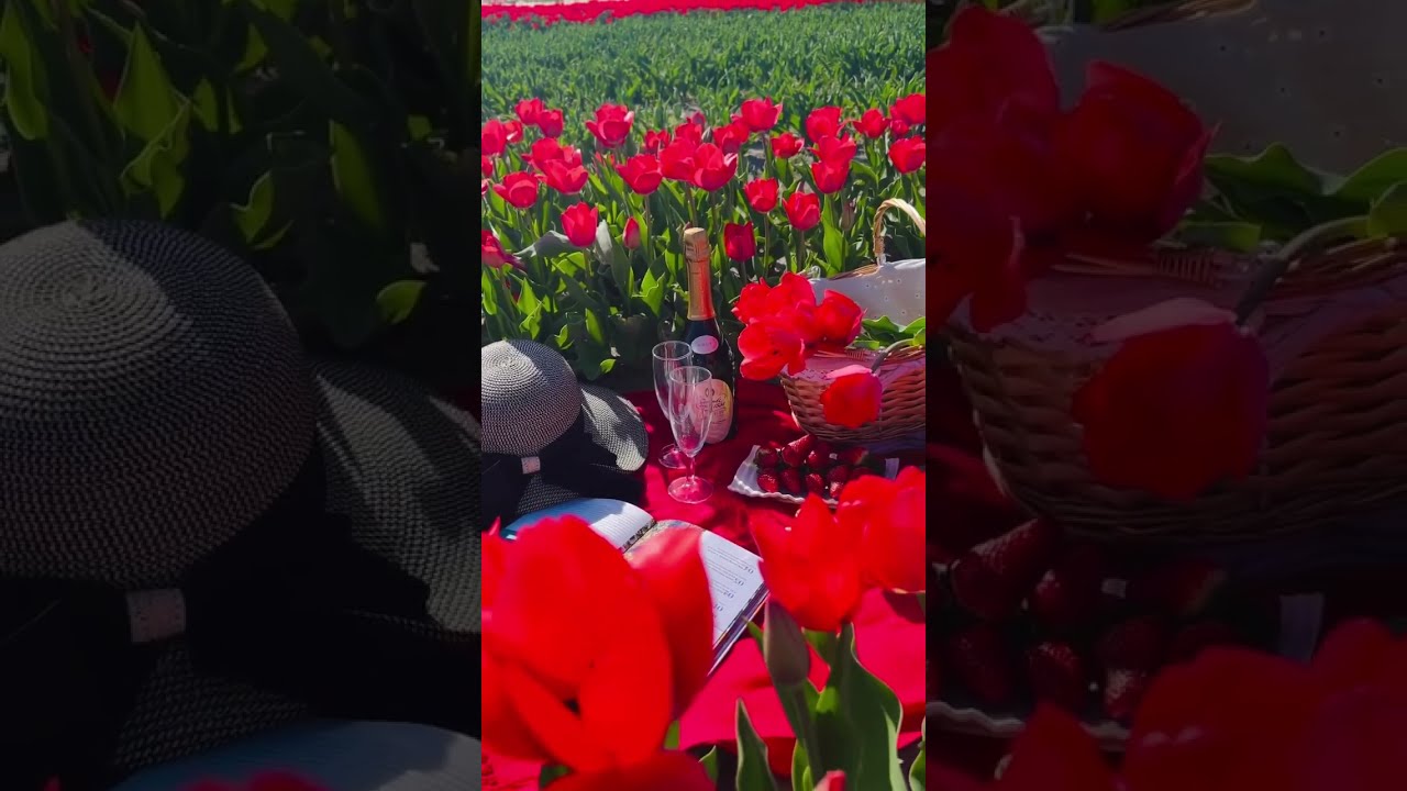 Why This Ontario Tulip Farm Is Worth The Drive Just 1 5 From Toronto A True Hidden Gems 