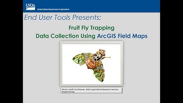 Fruit Fly Trapping Data Collection using ArcGIS Field Maps (FF)