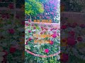 후회 #트로트 #정의송