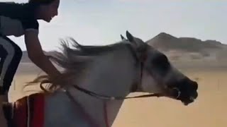 طفل يقود الحصان بسرعه لا تصدق . اطفال صغار معجزه فى ركوب الخيل . مشاهد لا تصدق من الخياله.سباق الخيل