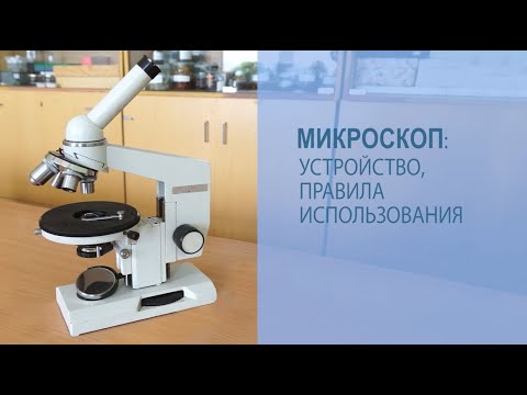 Микроскоп:  устройство, правила использования