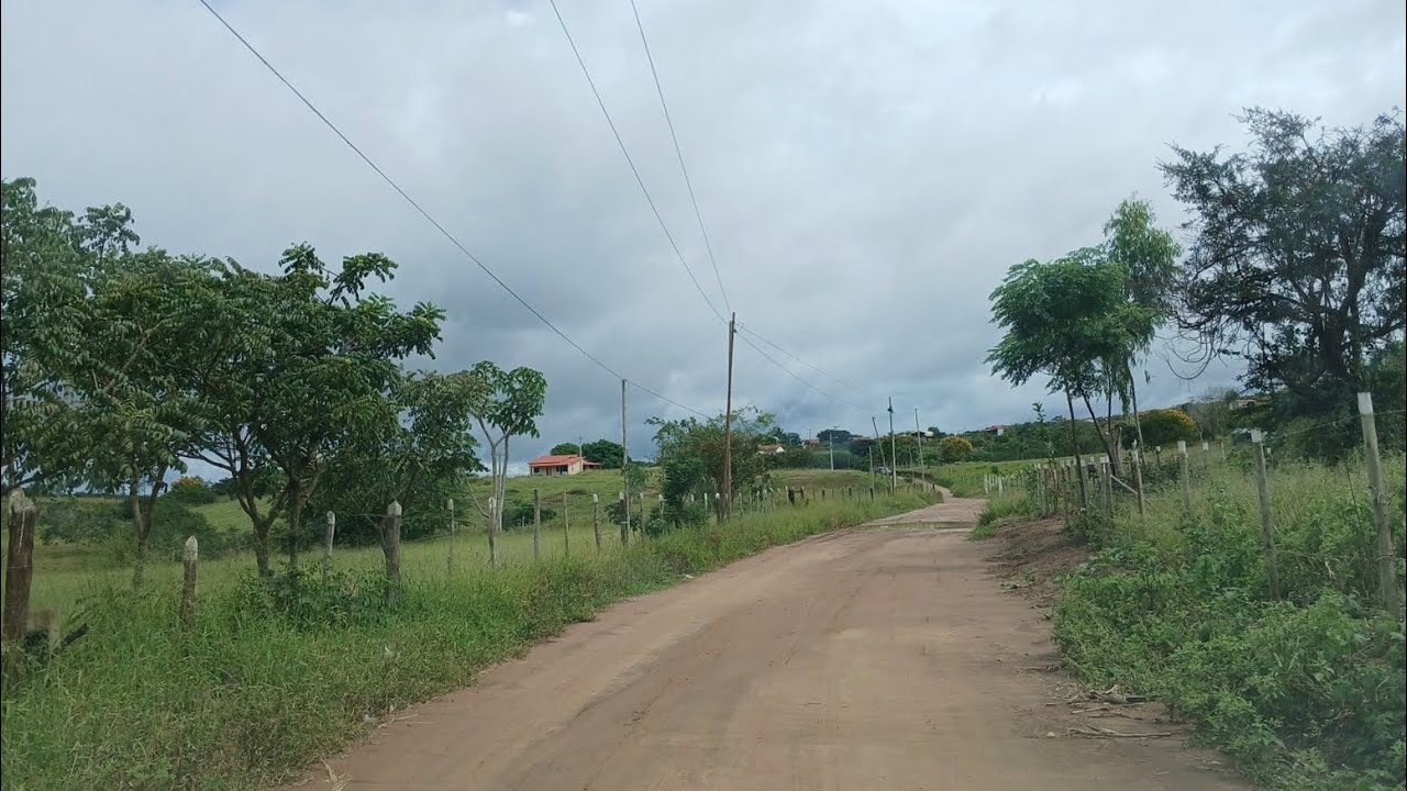 Pau de colher 1 (Poções-BA)