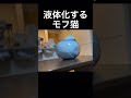 液体になっていくモフ猫です