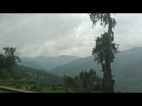 Dawite Mekonen FARDA GURRACHA New Afan Oromo Music 2025