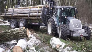 Logging with new Valtra A124 forestry tractor, the first load