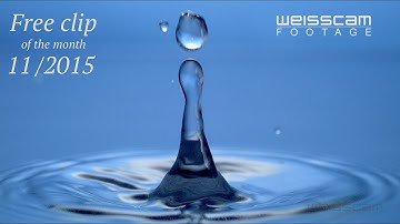 free clip of the month 11 2015